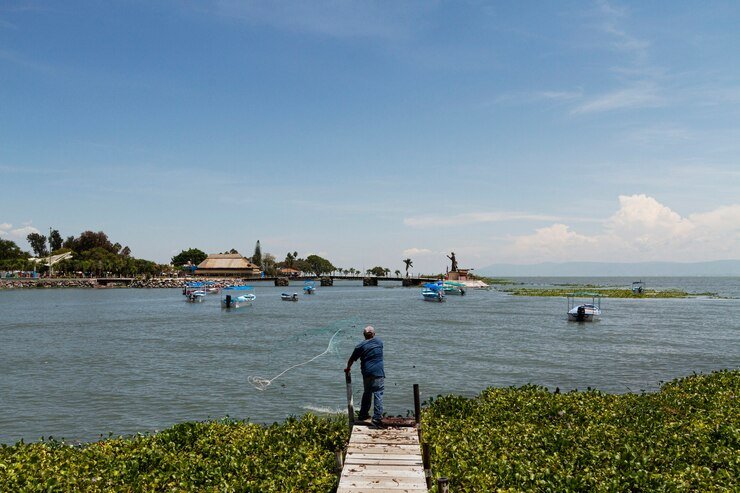 coastal alex savannah