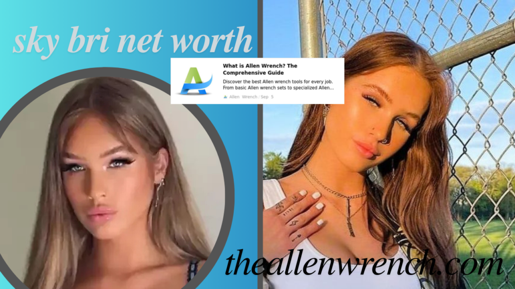 sky bri net worth