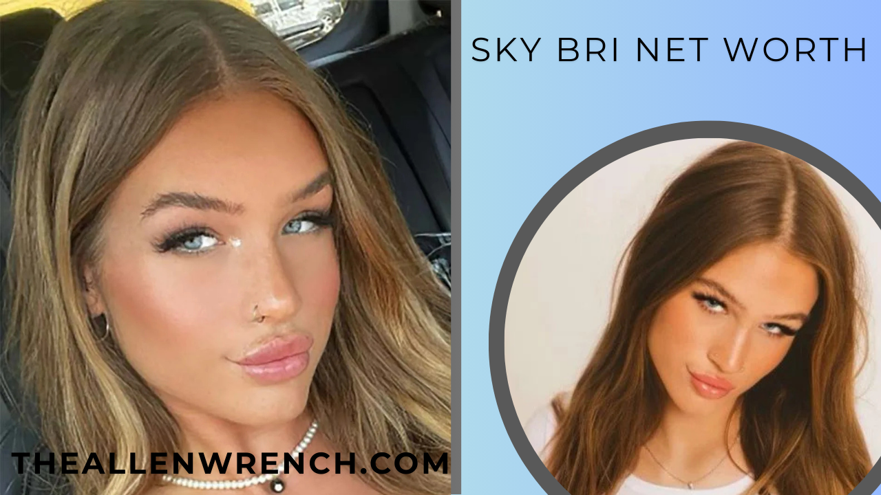 sky bri net worth